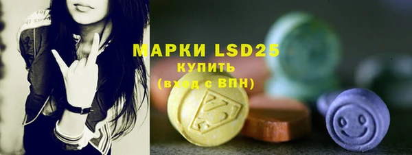 spice Липки